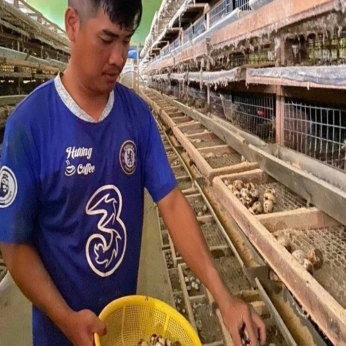 FOUNDER BJ38 – NGÔ ĐÌNH KHẢI | Tác Giả Chính Thức BJ38