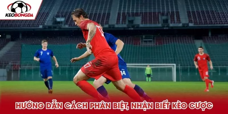 Phân tích dữ liệu và xu hướng cược nền tảng của tips bóng đá Keobongda