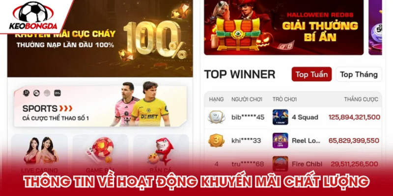 Bí quyết chơi cá cược tại Red88 hiệu quả và an toàn