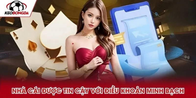 Hướng dẫn đăng ký và bắt đầu cá cược tại DOM88