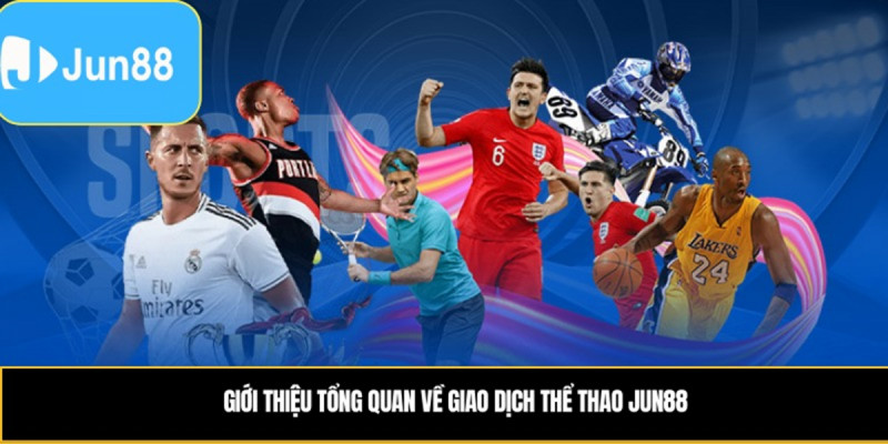 Thể Thao Jun88 hành Trình Khám Phá Thế Giới Thể Thao