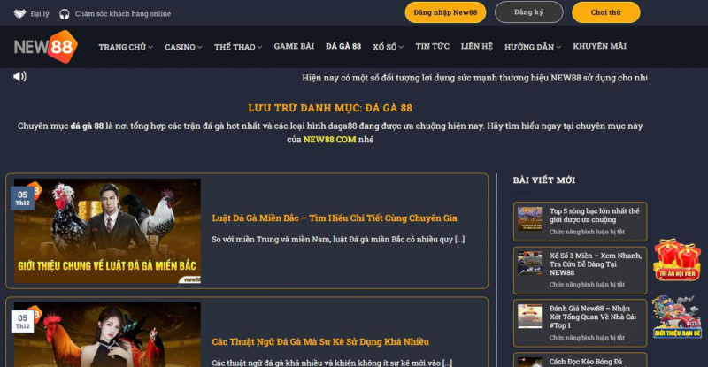 Lợi ích khi tham gia đá gà 88