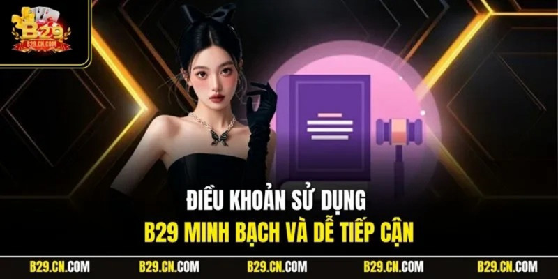 Phân tích chi tiết nội dung chính của Điều khoản sử dụng B29