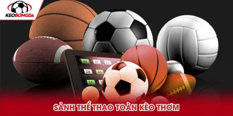 Những yếu tố giúp Rik88 trở thành thương hiệu cá cược hàng đầu