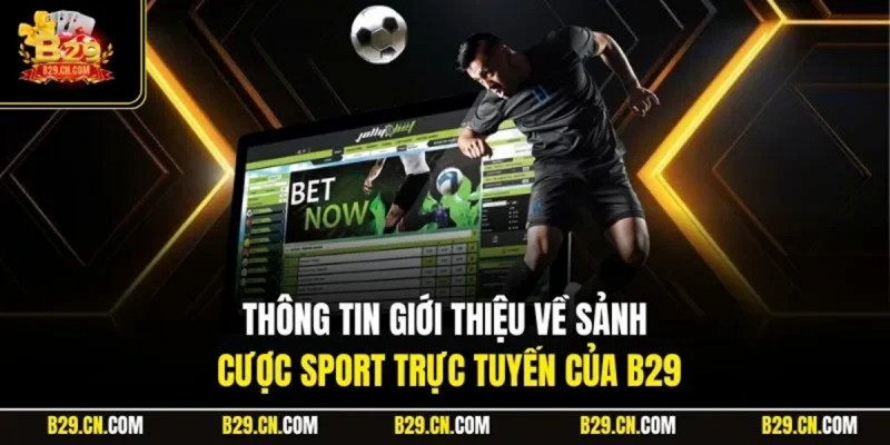 Thể thao B29 và lợi ích toàn diện cho sức khỏe con người