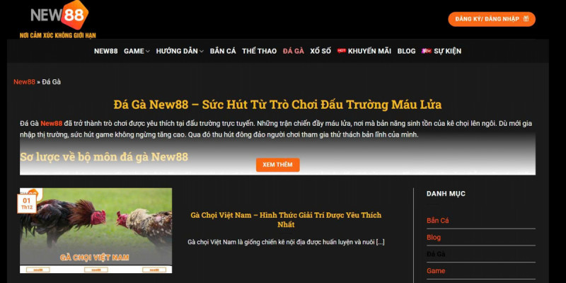 Trải nghiệm giải trí hấp dẫn cùng Đá Gà New88