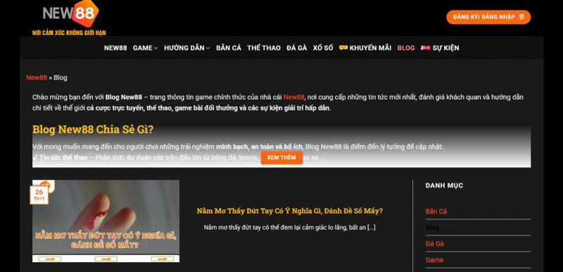 Blog New88 Nơi Chia Sẻ Kinh Nghiệm Cá Cược Hữu Ích