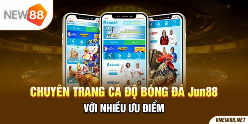 Trang cá độ bóng đá dưới góc nhìn của người yêu thể thao