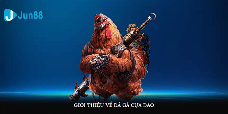 Lịch Sử Phát Triển Của Đá Gà Cựa Dao Tại Việt Nam