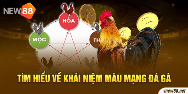 Màu mạng đá gà và kinh nghiệm chọn gà thi đấu hiệu quả