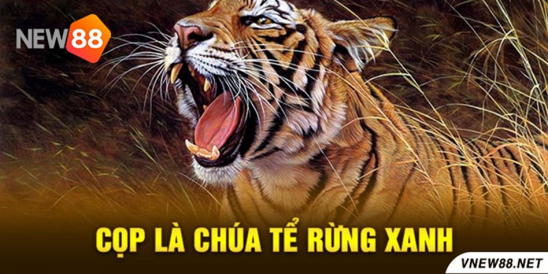 Mơ Thấy Cọp Đánh Số Gì Dưới Góc Nhìn Phong Thủy