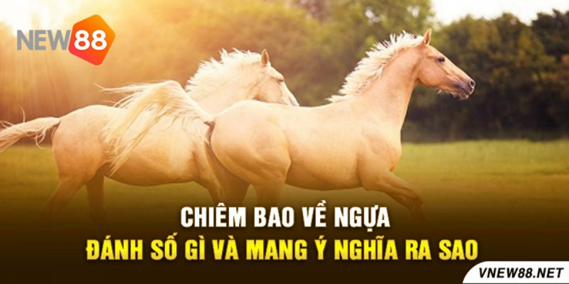 Mơ thấy ngựa trong văn hóa và quan niệm dân gian