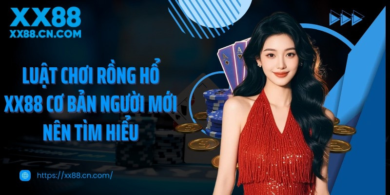 Hướng dẫn luật chơi Rồng Hổ cơ bản và dễ nhớ