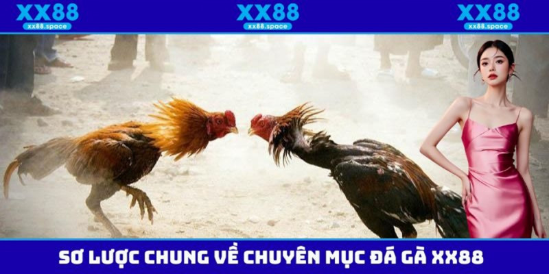 Vì sao đá gà XX88 được nhiều người yêu thích hiện nay
