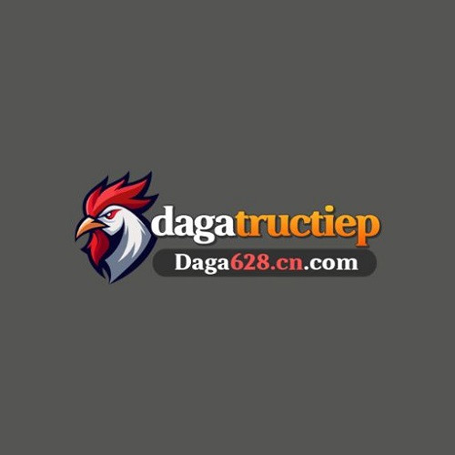 daga628.cn.com : Địa Chỉ Xanh Chín Cho Anh Em Đam Mê Gà Chọi