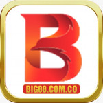 Big88comco