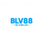 Blv88us
