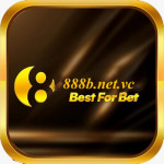 Bnetvc