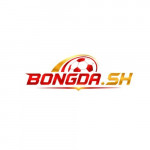Bongdash