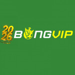 Bongviphealth