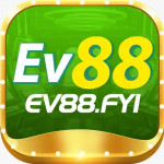 Ev88fyi1