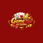 Gamefaninnet