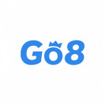Go8vnappvn