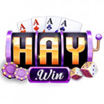 Haywin1casino