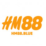 Hm88blue