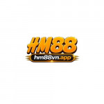Hm88vnapp