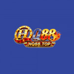 Hq88top1