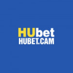 Hubetcam