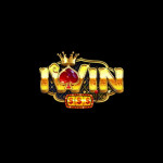 Iwinbidcom1