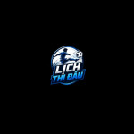 Ltdquest