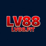 Lv88fit