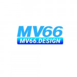 Mv66design