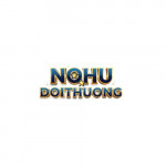 Nohudoithuongnl