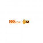 Nowvncom888