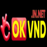 Okvndinnet