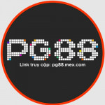 Pg88mexcom