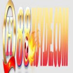 QH88XSY1