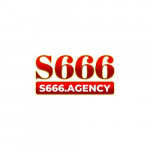 S666agency