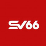 SV66marketing