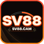 SV88cam