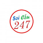 Soicau247rongbachkimme