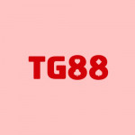 Tg888bbcom