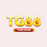 Tg88meme1