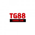 Tg88rdcom