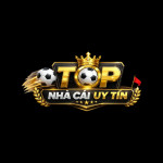 Top10nhacaiuytininnet