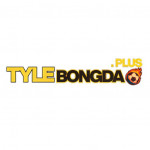 Tylebongdaplus1